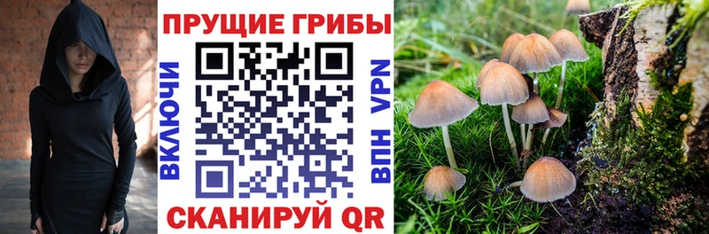 Галлюциногенные грибы MAGIC MUSHROOMS  Купить где  Тверь 